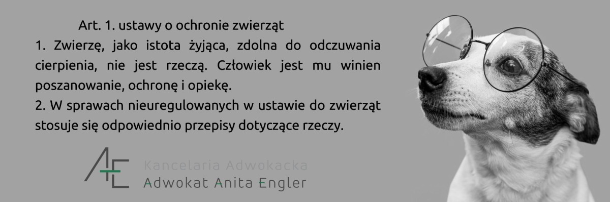 Ustawa o ochronie zwierząt cz. I